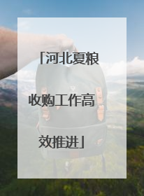 河北夏粮收购工作高效推进