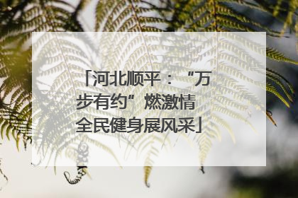 河北顺平：“万步有约”燃激情 全民健身展风采