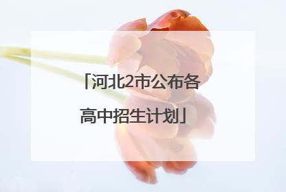 河北2市公布各高中招生计划