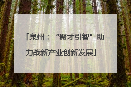 泉州：“聚才引智”助力战新产业创新发展