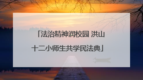 法治精神润校园 洪山十二小师生共学民法典