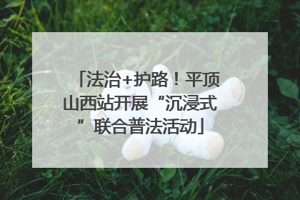 法治+护路！平顶山西站开展“沉浸式”联合普法活动