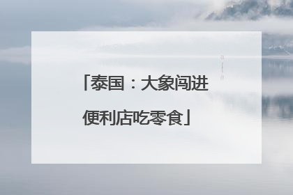泰国：大象闯进便利店吃零食