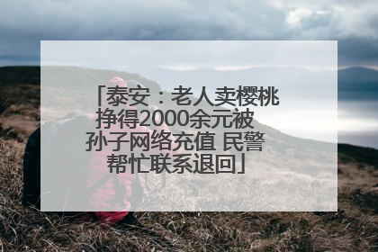 泰安：老人卖樱桃挣得2000余元被孙子网络充值 民警帮忙联系退回
