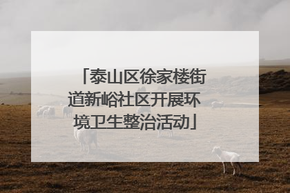 泰山区徐家楼街道新峪社区开展环境卫生整治活动