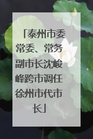 泰州市委常委、常务副市长沈峻峰跨市调任徐州市代市长