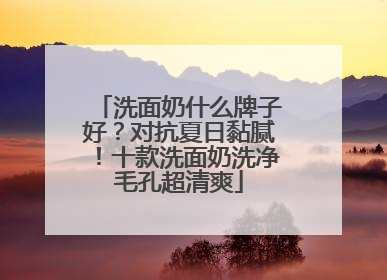 洗面奶什么牌子好？对抗夏日黏腻！十款洗面奶洗净毛孔超清爽