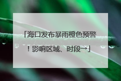 海口发布暴雨橙色预警！影响区域、时段→