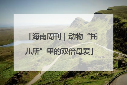 海南周刊｜动物“托儿所”里的双倍母爱