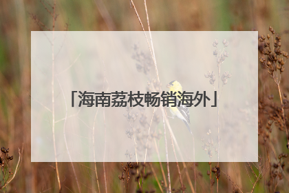 海南荔枝畅销海外