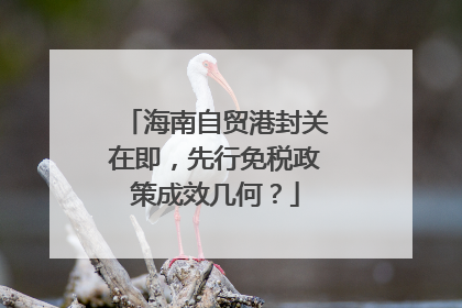 海南自贸港封关在即，先行免税政策成效几何？