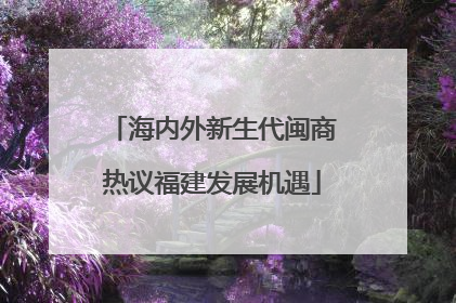 海内外新生代闽商热议福建发展机遇