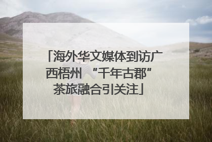 海外华文媒体到访广西梧州 “千年古郡”茶旅融合引关注