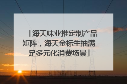 海天味业推定制产品矩阵，海天金标生抽满足多元化消费场景