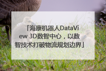 海康机器人DataView 3D数智中心，以数智技术打破物流规划边界
