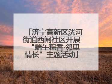 济宁高新区洸河街道西闸社区开展“端午粽香·邻里情长”主题活动