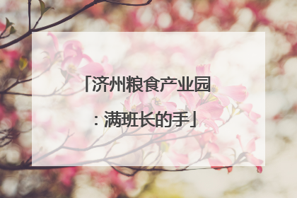 济州粮食产业园：满班长的手