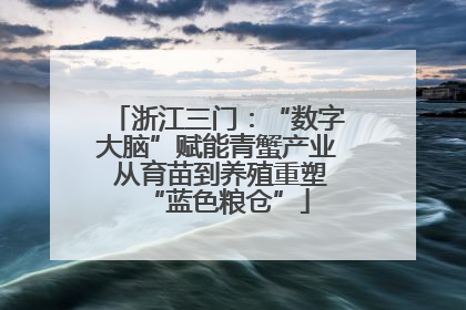 浙江三门：“数字大脑”赋能青蟹产业 从育苗到养殖重塑“蓝色粮仓”