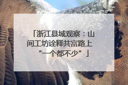 浙江县域观察：山间工坊诠释共富路上“一个都不少”