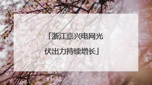 浙江嘉兴电网光伏出力持续增长