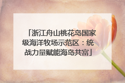 浙江舟山桃花岛国家级海洋牧场示范区：统战力量赋能海岛共富