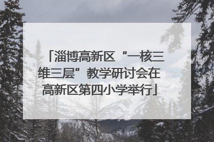 淄博高新区“一核三维三层”教学研讨会在高新区第四小学举行