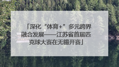 深化“体育+”多元跨界融合发展——江苏省首届匹克球大赛在无锡开赛