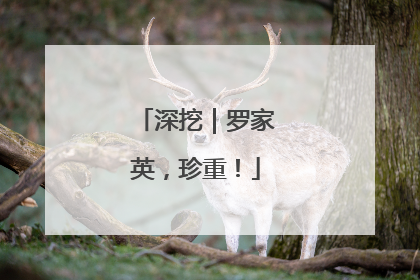 深挖｜罗家英，珍重！