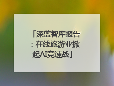深蓝智库报告：在线旅游业掀起AI竞速战