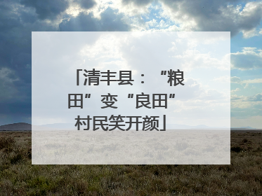 清丰县：“粮田”变“良田”村民笑开颜