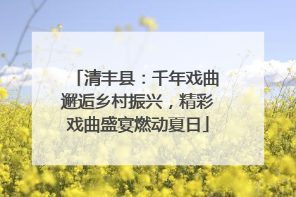 清丰县：千年戏曲邂逅乡村振兴，精彩戏曲盛宴燃动夏日