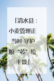 清水县：小麦管理正当时 守护粮“芯”绘丰景