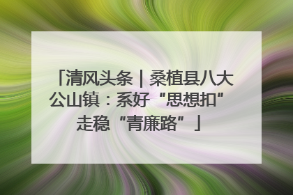清风头条｜桑植县八大公山镇：系好“思想扣” 走稳“青廉路”