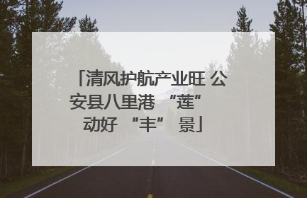 清风护航产业旺 公安县八里港 “莲” 动好 “丰” 景