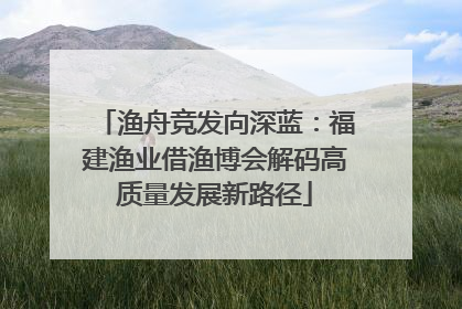 渔舟竞发向深蓝：福建渔业借渔博会解码高质量发展新路径