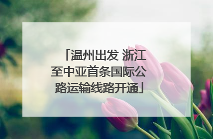温州出发 浙江至中亚首条国际公路运输线路开通