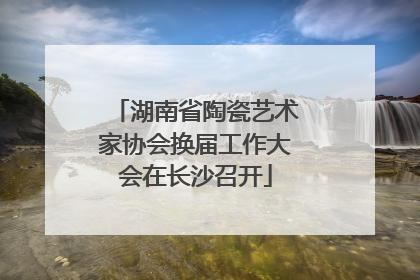 湖南省陶瓷艺术家协会换届工作大会在长沙召开