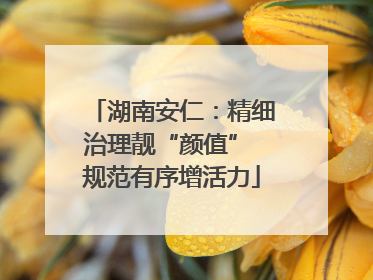 湖南安仁：精细治理靓“颜值” 规范有序增活力