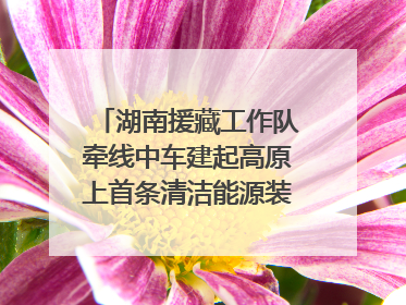 湖南援藏工作队牵线中车建起高原上首条清洁能源装配产线，本地大学生成车间检验员