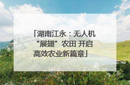 湖南江永：无人机“展翅”农田 开启高效农业新篇章