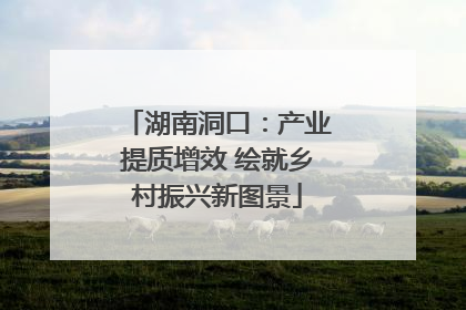 湖南洞口：产业提质增效 绘就乡村振兴新图景