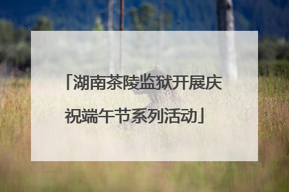 湖南茶陵监狱开展庆祝端午节系列活动