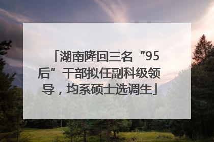湖南隆回三名“95后”干部拟任副科级领导，均系硕士选调生