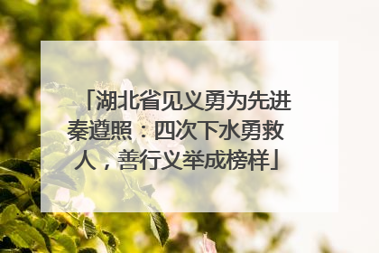 湖北省见义勇为先进秦遵照：四次下水勇救人，善行义举成榜样