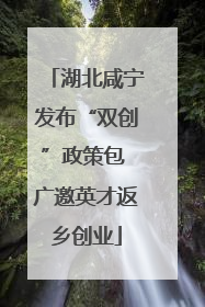 湖北咸宁发布“双创”政策包 广邀英才返乡创业
