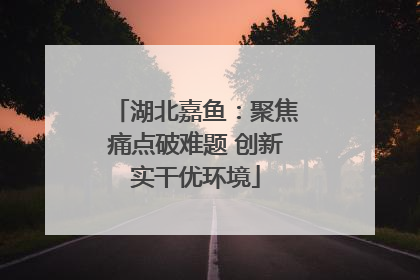 湖北嘉鱼：聚焦痛点破难题 创新实干优环境