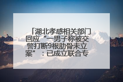 湖北孝感相关部门回应“一男子称被交警打断9根肋骨未立案”：已成立联合专班开展工作