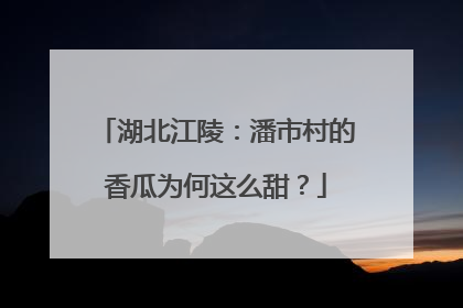 湖北江陵：潘市村的香瓜为何这么甜？