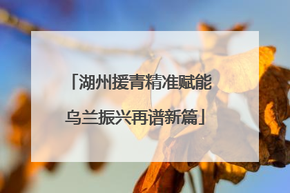 湖州援青精准赋能 乌兰振兴再谱新篇