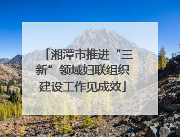 湘潭市推进“三新”领域妇联组织建设工作见成效